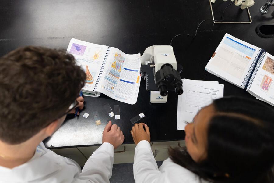 biology students in a laboratory with an open textbook looking into a microscope